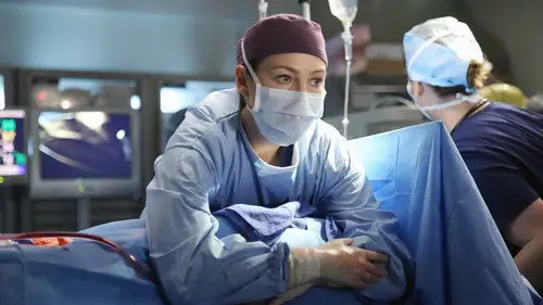 Anatomía de Grey Temporada 11 Episodios 15 • Sub Español