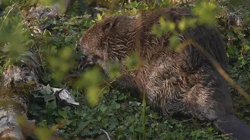 Countryfile S38E12 • Oglądaj Online