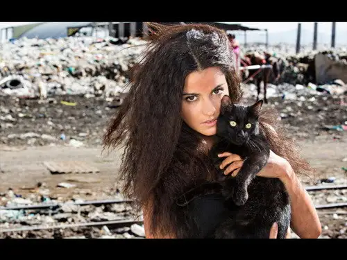 La Gata Temporada 1 Episodios 1 • Sub Español