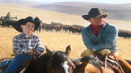 Dallas Temporada 14 Episodios 16 • Sub Español