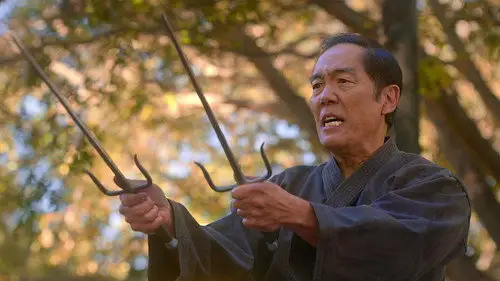 Cobra Kai Temporada 5 Episodios 7 • Sub Español