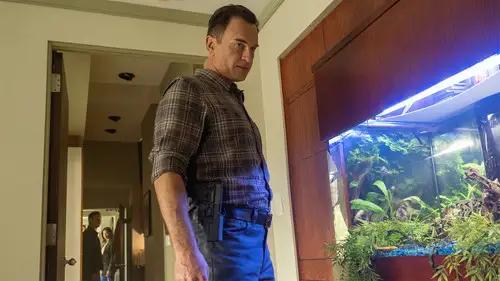FBI: Most Wanted Temporada 1 Episodios 12 • Sub Español