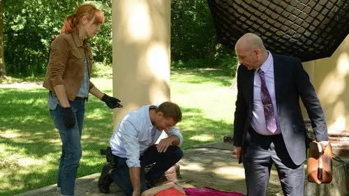 Komisarz Alex Temporada 10 Episodios 8 • Sub Español