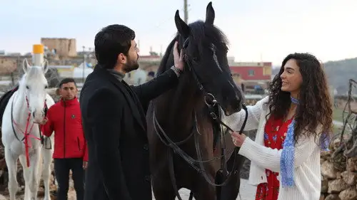 Hercai Temporada 2 Episodios 25 • Sub Español