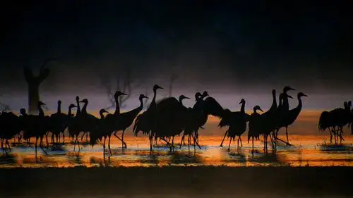 Countryfile S31E2 • Oglądaj Online