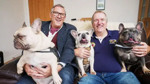 Dogs Behaving (Very) Badly Temporada 6 Episodios 12 • Sub Español