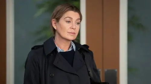 Anatomía de Grey Temporada 20 Episodios 10 • Sub Español