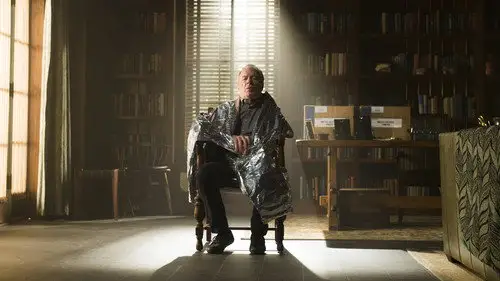 Better Call Saul Temporada 2 Episodios 9 • Sub Español