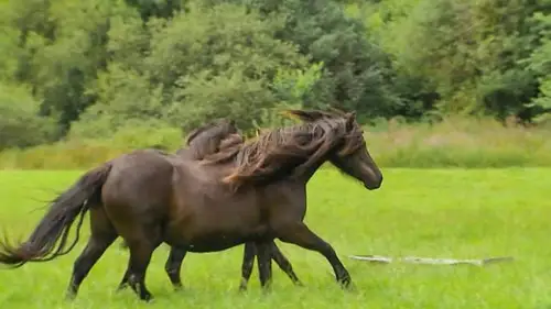 Countryfile S36E11 • Oglądaj Online