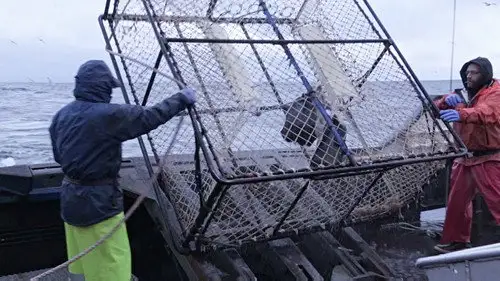 Pesca radical Temporada 12 Episodios 12 • Sub Español