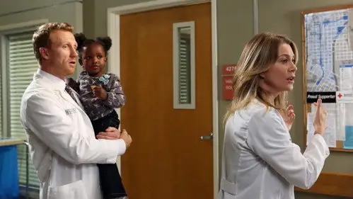 Anatomía de Grey Temporada 9 Cap 5 • Español Online