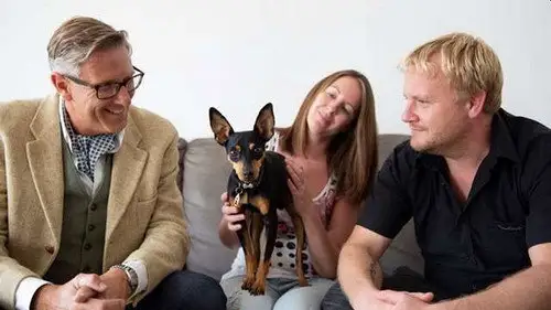 Dogs Behaving (Very) Badly Temporada 2 Episodios 3 • Sub Español