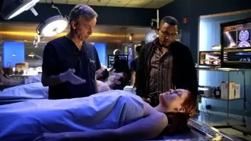 CSI: Nueva York Temporada 7 Episodios 13 • Sub Español