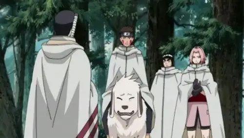 Naruto Shippuden Temporada 10 Episodios 212 • Sub Español