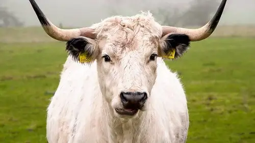 Countryfile S35E6 • Oglądaj Online