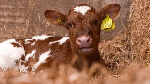 Countryfile S35E5 • Oglądaj Online