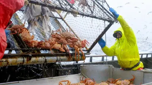 Pesca radical Temporada 19 Episodios 18 • Sub Español