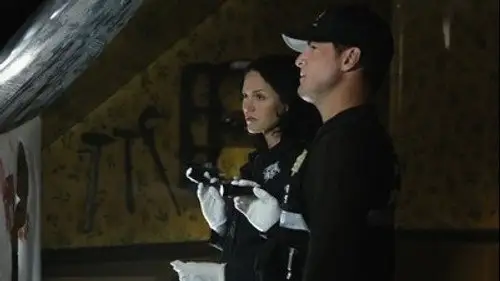 CSI: Las Vegas Temporada 11 Episodios 22 • Sub Español