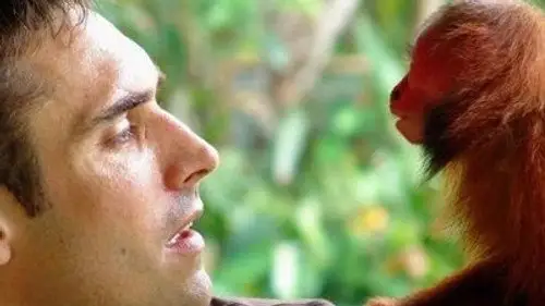 Mundo Natural Temporada 28 Episodios 16 • Sub Español