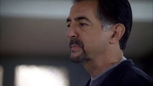 Mentes criminales Temporada 3 Cap 9 • Español Online