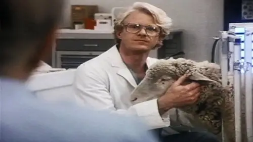 St. Elsewhere Temporada 6 Episodios 7 • Sub Español