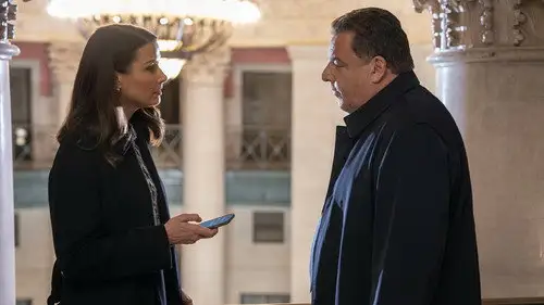Familia de policías Temporada 13 Episodios 13 • Sub Español