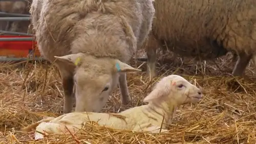 Countryfile S34E11 • Oglądaj Online