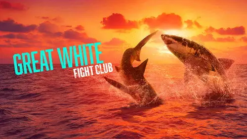 Shark Week S36E5 • Oglądaj Online