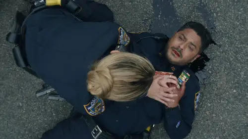 Familia de policías Temporada 14 Episodios 18 • Sub Español