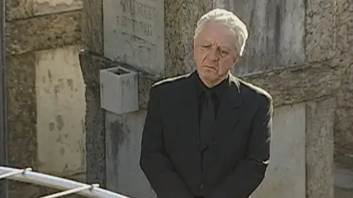 A Grande Família Temporada 1 Episodios 17 • Sub Español