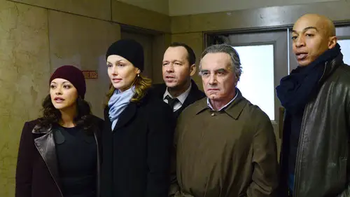 Familia de policías Temporada 5 Episodios 15 • Sub Español