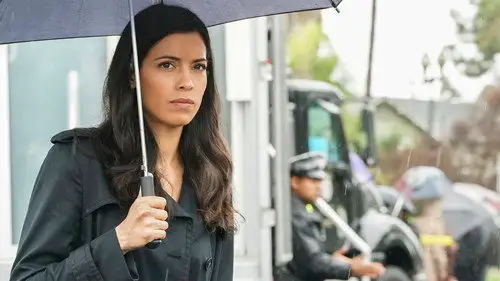 S.W.A.T.: Los hombres de Harrelson Temporada 1 Episodios 20 • Sub Español