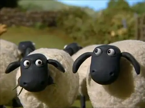 La oveja Shaun Temporada 1 Episodios 21 • Sub Español