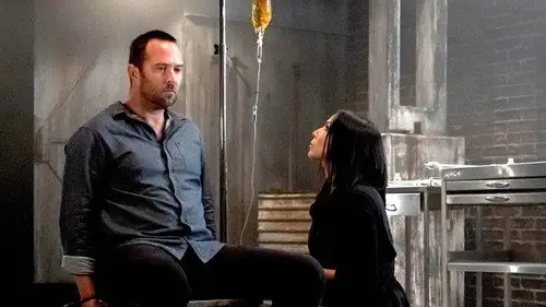 Blindspot Temporada 5 Episodios 5 • Sub Español