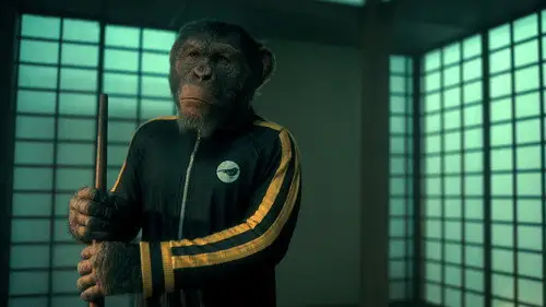 The Umbrella Academy Temporada 3 Episodios 6 • Sub Español