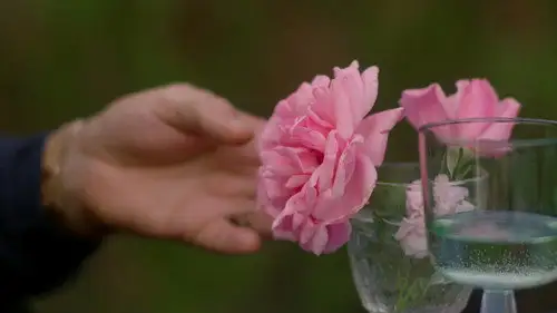 Una aldea francesa Temporada 7 Episodios 12 • Sub Español