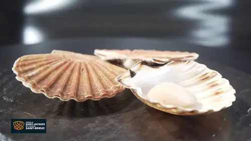 Top Chef Temporada 0 Episodios 9 • Sub Español
