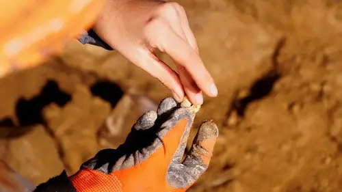 Alienígenas ancestrales Temporada 19 Episodios 3 • Sub Español