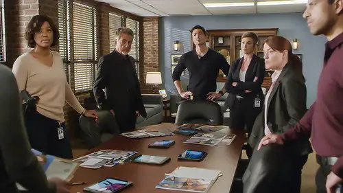 Mentes criminales Temporada 13 Episodios 15 • Sub Español