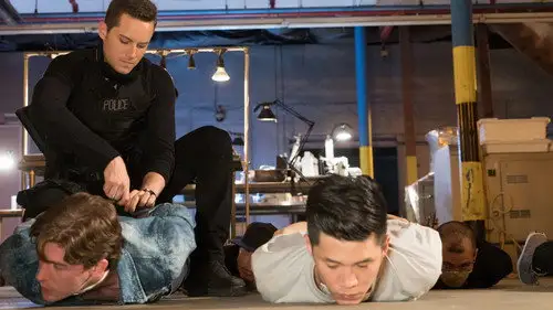Chicago P.D. Temporada 4 Episodios 5 • Sub Español