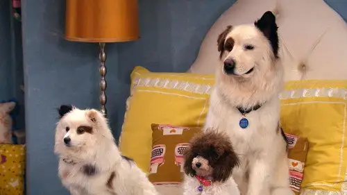 Mi perro tiene un blog Temporada 3 Episodios 18 • Sub Español