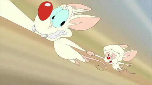 Animaniacs Temporada 2 Episodios 21 • Sub Español