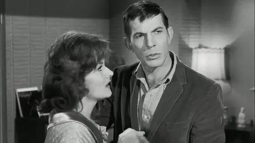 Perry Mason Temporada 6 Episodios 13 • Sub Español