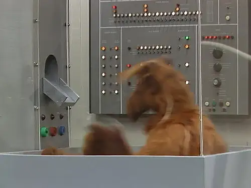 ALF Temporada 2 Episodios 24 • Sub Español
