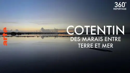 ARTE 360° Reportage Temporada 25 Episodios 26 • Sub Español