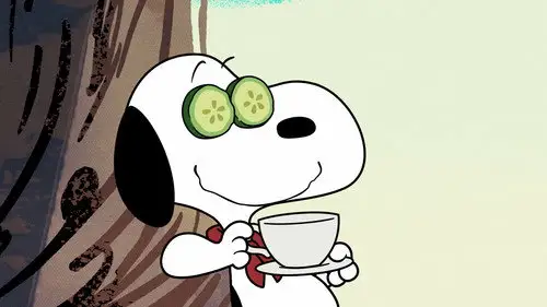Campamento Snoopy Temporada 1 Episodios 9 • Sub Español