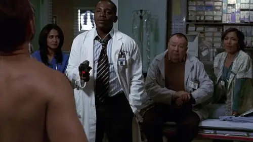 Urgencias Temporada 14 Episodios 14 • Sub Español