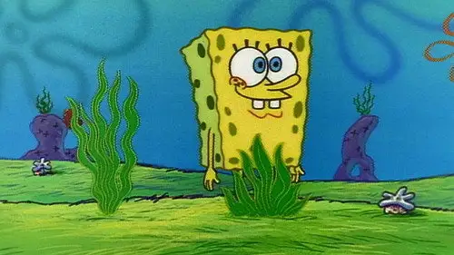 Bob Esponja Temporada 1 Episodios 18 • Sub Español