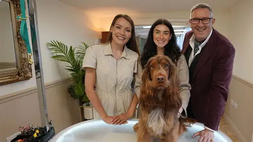 Dogs Behaving (Very) Badly Temporada 8 Episodios 9 • Sub Español