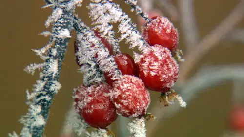 Nature S25E3 • Oglądaj Online